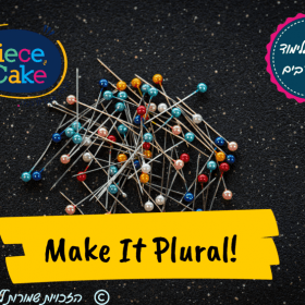 make it plural