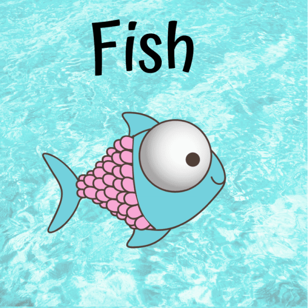 learn the animals - fish