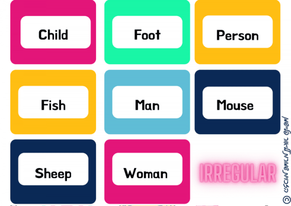 plurals examples