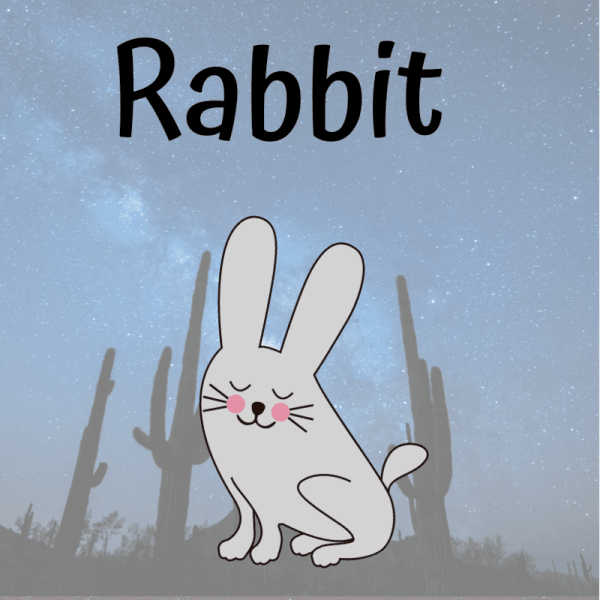 learn the animals - rabbit