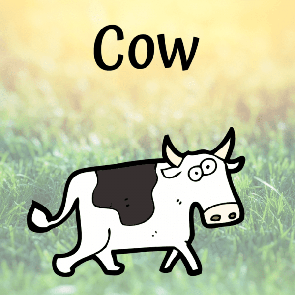 learn the animals - cow