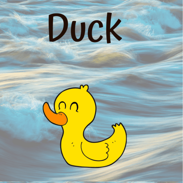 learn the animals - duck