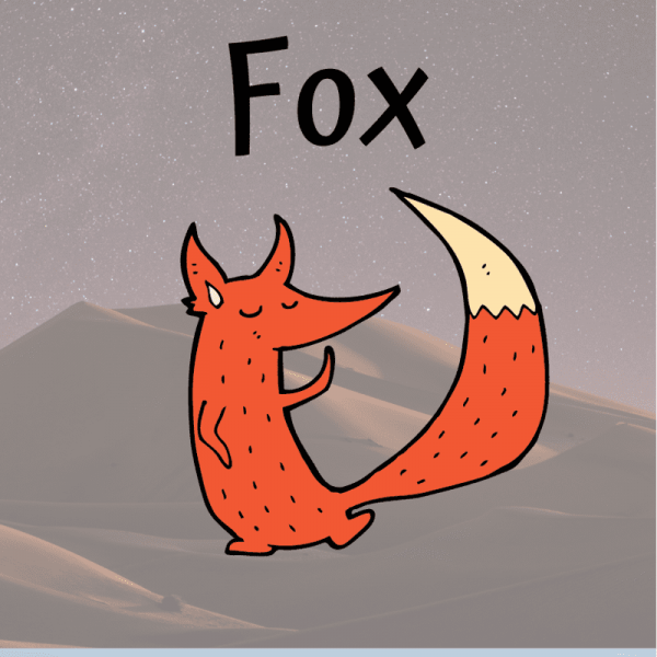 learn the animals - fox