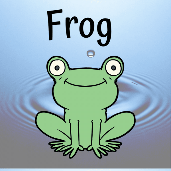 learn the animals - frog